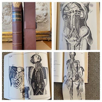 Thomas Bartholin - Anatomia Reformata - 1976