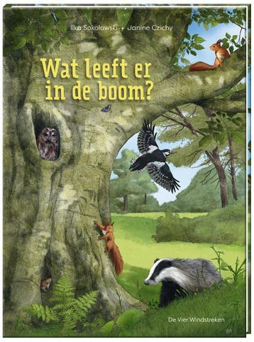 Wat Leeft Er In De Boom? | Ilka Sokolowski | Nieuw, Ophalen of Verzenden, Nieuw, Ilka Sokolowski