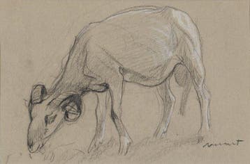 Willem Hendrik van der Nat (1864–1929) - Ram - NO RESERVE