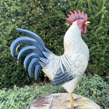 sculptuur, Schitterende haan - 39 cm - IJzer