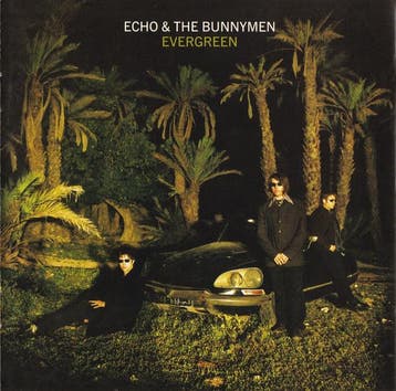 cd - Echo &amp; The Bunnymen - Evergreen, Verzenden, Zo goed als nieuw