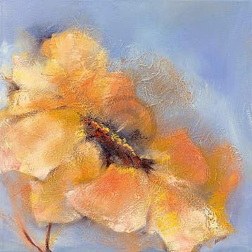 Kunstdruk Elena Filatov - Bright Anemone II 50x50cm, Verzenden, Nieuw