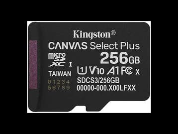 Kingston Canvas 256GB microSD (Switch Accessoires), Spelcomputers en Games, Ophalen of Verzenden, Zo goed als nieuw