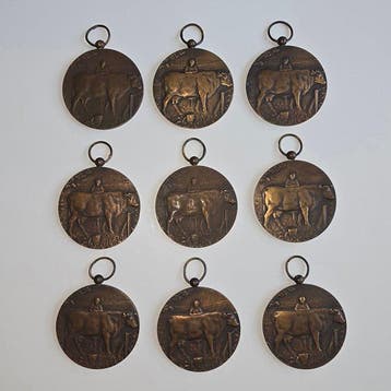 Nederland. 9 stuks Prijspenningen Fokdag Sittard 1930
