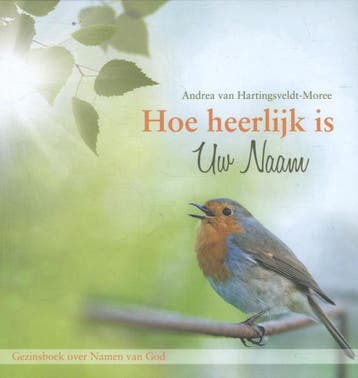 Hoe heerlijk is Uw Naam / Summer Girls 9789462782846, Boeken, Verzenden, Gelezen, Andrea Hartingsveldt-Moree