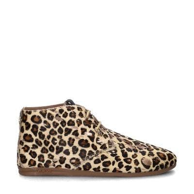 Maruti Gimlet veterboots voor dames in het Bruin, Kleding | Dames, Schoenen, Lage of Enkellaarzen, Bruin, Nieuw, Verzenden