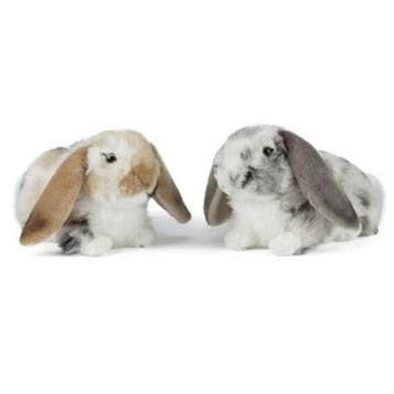 Set van 2 pluche hangoor konijnen knuffels - 30 cm - zacht, Verzenden, Nieuw