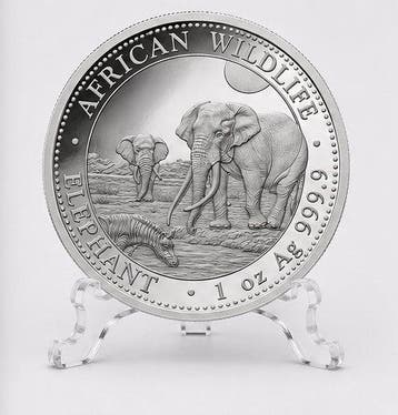 Somalië. 100 Shilling 2026 – African Wildlife Series –