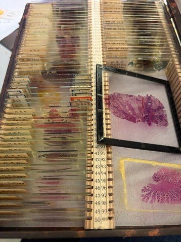 Microscope slide - histology and pathology slides -
