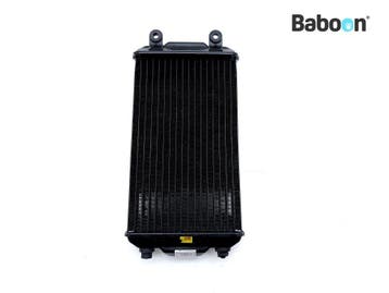 Radiateur Harley-Davidson XG 500 Street 2019-2020 (26800014), Verzenden, Gebruikt
