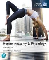 Human Anatomy & Physiology, Global Edition, 9781292260853, Boeken, Verzenden, Zo goed als nieuw, HBO