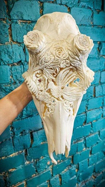 Edelhert Schedel - Cervus elaphus - 45 cm - 15 cm - 15 cm -