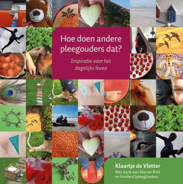 Hoe doen andere pleegouders dat? - Klaartje de Vletter, Verzenden, Zo goed als nieuw, Klaartje de Vletter