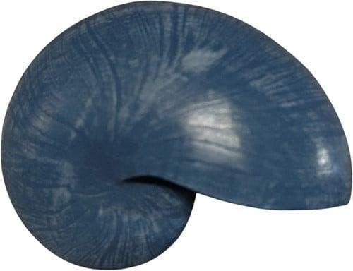 Nautilus schelp Resin Blauw 5x8x5 cm per stuk, Hobby en Vrije tijd, Knutselen, Nieuw, Ophalen of Verzenden