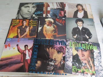 Bruce Springsteen & Related - Nice lot with 9 great records, Nieuw in verpakking