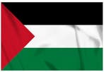 Palestina vlag, Diversen, Ophalen of Verzenden, Nieuw