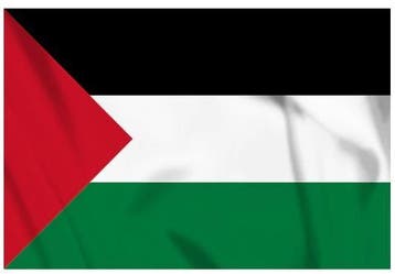 Palestina vlag, Ophalen of Verzenden, Nieuw
