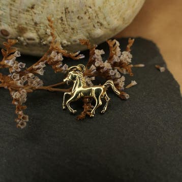 Gouden hanger van een paard (Hanger of bedel), Ophalen of Verzenden, Gebruikt, Goud, Overige merken