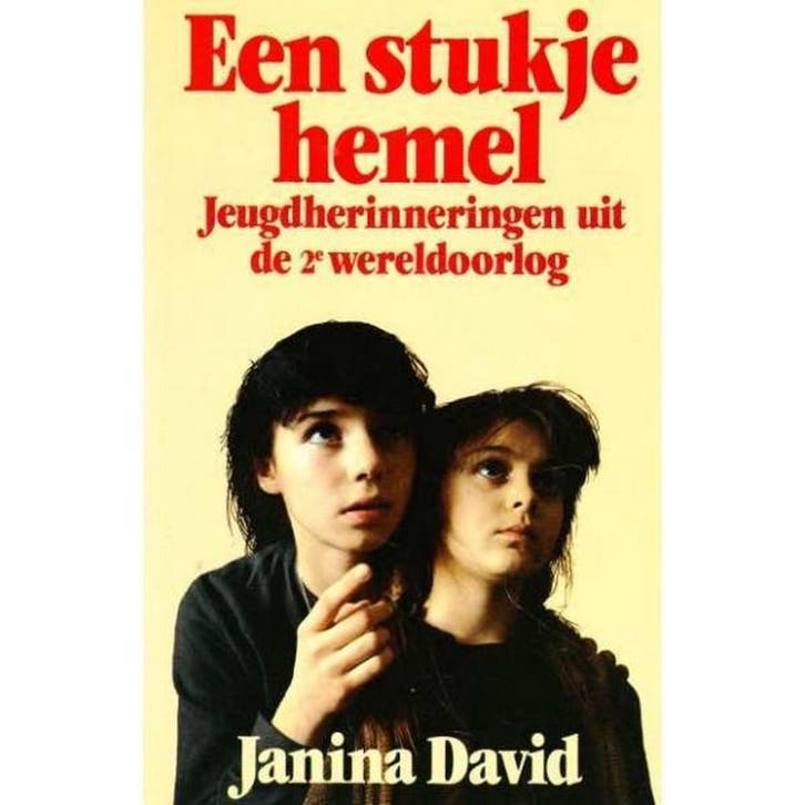 STUKJE HEMEL - David 9789060574881, Boeken, Romans, Gelezen, Verzenden