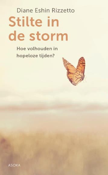 Stilte In De Storm | Diane Rizzetto | Nieuw, Ophalen of Verzenden, Nieuw, Diane Rizzetto