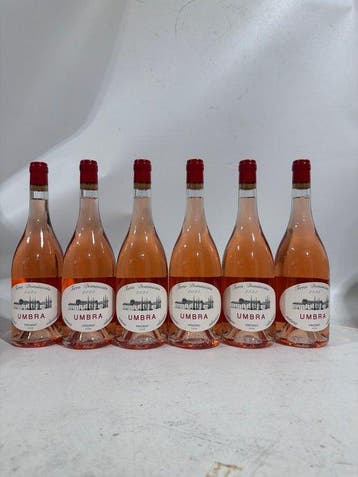 2025 Terra Dominicata, Umbra Rosé - Priorat D.O.Q. - 6, Nieuw