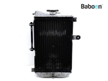 Radiateur Suzuki AN 650 Burgman 2002-2004 (AN650), Motoren, Verzenden, Gebruikt