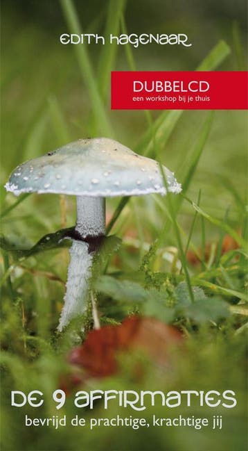 De 9 affirmaties - Edith Hagenaar 9789076541372, Verzenden, Gelezen, Edith Hagenaar