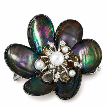 Seaman Schepps - Broche - 18 karaat Witgoud, Seaman Schepps