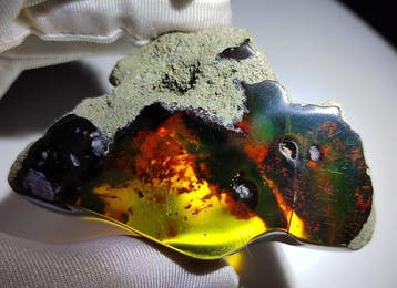 Mexicaanse amberfossiel Chiapas!! AAA- 52 g