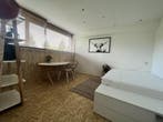Te huur: Appartement Nassaulaan in Maastricht, Limburg, Maastricht, Appartement
