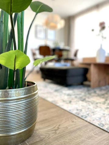 Te huur: Appartement Slibbroek in Hilvarenbeek, Noord-Brabant, Hilvarenbeek, Appartement