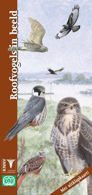 Roofvogels in beeld / In beeld / 19 - D.M. de Vos, Verzenden, Zo goed als nieuw, D.M. de Vos