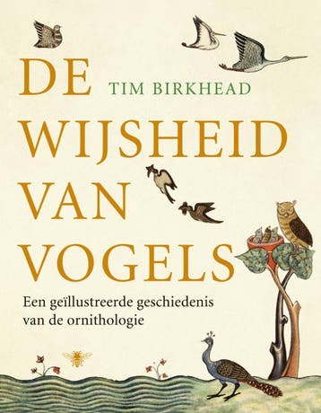 De wijsheid van vogels - T. Birkhead 9789023436041, Boeken, Verzenden, Gelezen, T. Birkhead