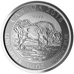 Canadian Bison (Bizon) 1.25 oz 2016, Verzenden, Noord-Amerika, Losse munt, Zilver