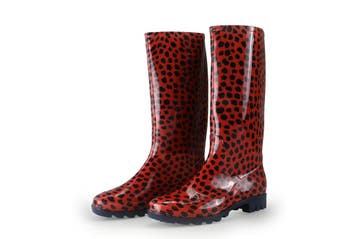 Xq Footwear Regenlaarzen in maat 37 Rood, Xq Footwear, Verzenden, Rood, Regenlaarzen