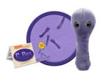 Giant Microbes pluche clostridioides difficile, Nieuw