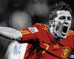 Spain - Wereldkampioenschap Voetbal - David Villa -, Nieuw