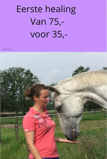 Gedragsproblemen/ziekte/ bij paarden, kat of hond? Healing, Komt aan huis, Paranormale therapie