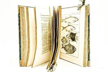 Jean Élie Bertrand - Descriptions des Arts et Métiers -