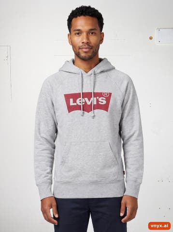 Levi Strauss & Co. Hoodies Heren maat XXS Grijs Vintage, Ophalen of Verzenden, Nieuw