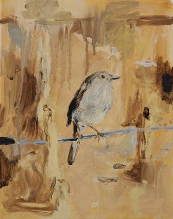 Matthieu van Riel - Bird
