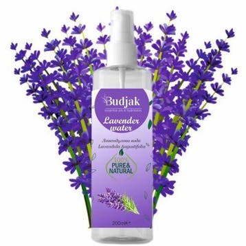 Lavendel bloemenwater (Lavandula angustifolia) – 100%, Nieuw