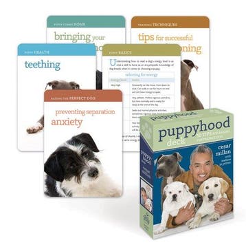 Puppyhood Deck - Cesar Millan 9780307463487, Verzenden, Zo goed als nieuw, Cesar Millan