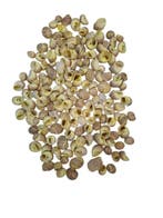 Pull Muttai Schelpen Geel 500 gram, Ophalen of Verzenden, Nieuw