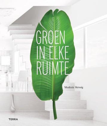 Groen in elke ruimte, Ophalen of Verzenden, Nieuw