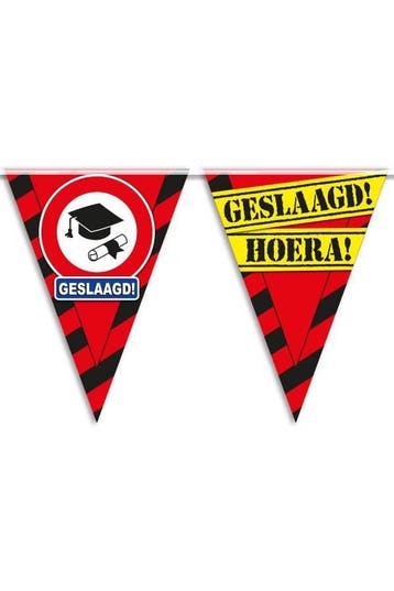 Vlaggenlijn hoera geslaagd, Ophalen of Verzenden, Nieuw