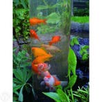 Ubbink Vistoren 100 cm – inclusief standaard 20 cm, Tuin en Terras, Vijvers, Ophalen of Verzenden, Nieuw