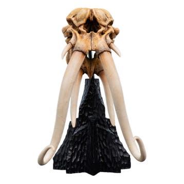 Lord of the Rings Mini Statue Skull of a Mumak 15 cm, Ophalen of Verzenden, Nieuw