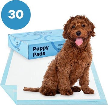 2dekans | Jake en Jacky 30 Puppytraining Pads 60 x 90 cm -, Ophalen of Verzenden, Zo goed als nieuw
