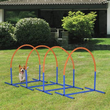 Hond Agility Trainingsset - Compleet met Draagtas en Hindern, Verzenden, Nieuw